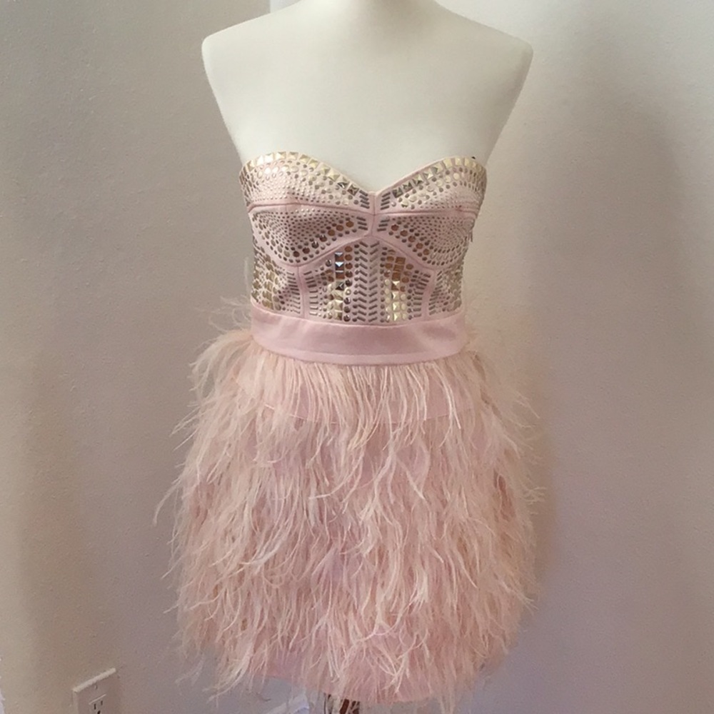 Bebe Light Pink Feather Party Dress